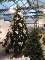 /album/galleria-foto-natale/a2011-11-22-16-34-23-jpg/